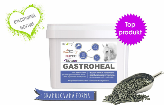 DROMY - dromy.pl > DROMY GASTROHEAL KONCENTRAT 3000g